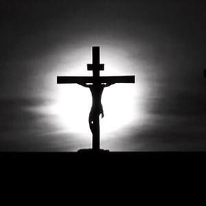 Meet your Posher, Luis